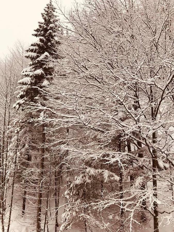 Apartmán 17 Romantika Chopok Juh Tále Exterior foto